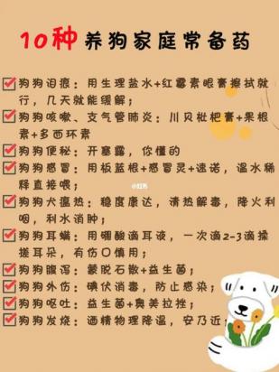 狗狗肺炎怎么治疗最快-图1