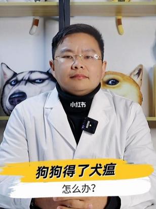 狗狗得了怎么办犬瘟能治好吗