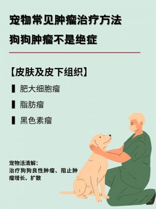 狗狗生产前征兆是什么-图1