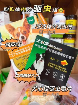 狗滴虫病可以治好吗-图1
