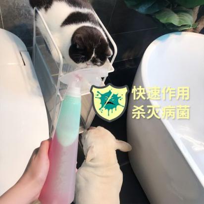 狗窝喷什么消毒最好-图1