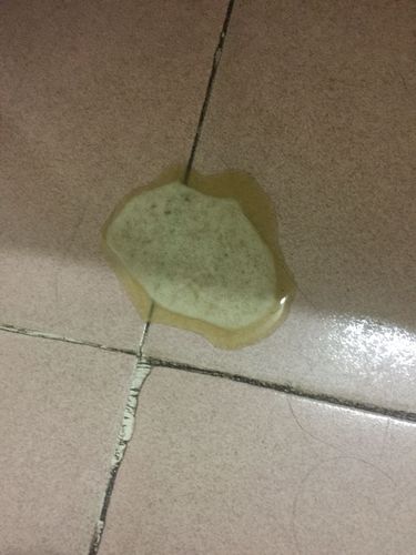狗狗呕吐黄水不吃东西没精神怎么回事