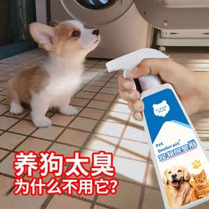 用什么可以去除狗狗的尿味-图1