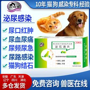 狗尿频吃什么药-图1