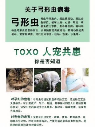 狗身上有弓形虫吗,能看出来吗？-图1