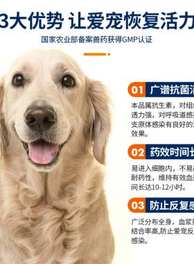 狗打疫苗期间可以吃消炎药吗-图1
