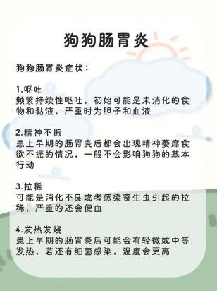 狗狗连续吐了好几天怎么办-图1