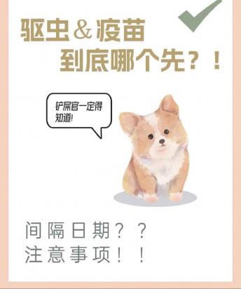 狗狗疫苗可以推迟打吗-图1
