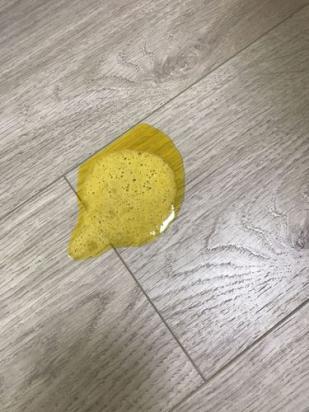 狗狗经常吐黄水带泡沫是怎么回事-图1