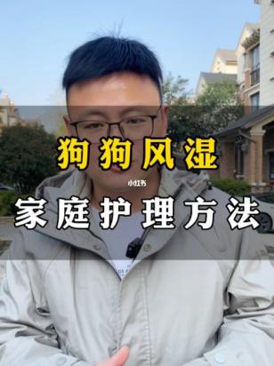 狗狗得了风湿能治愈吗-图1