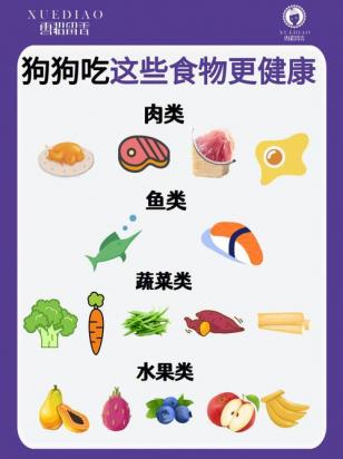 狗狗便秘吃什么最好最快通便