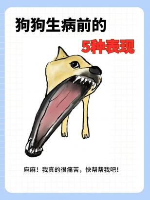 狗狗身上发抖什么原因引起的-图1