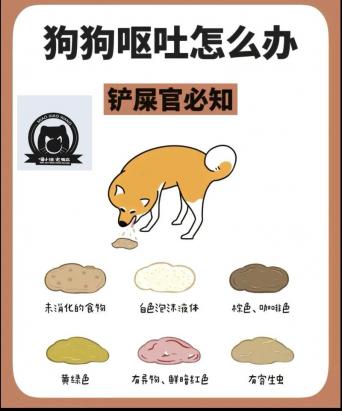 狗狗呕吐肚子咕噜响怎么办