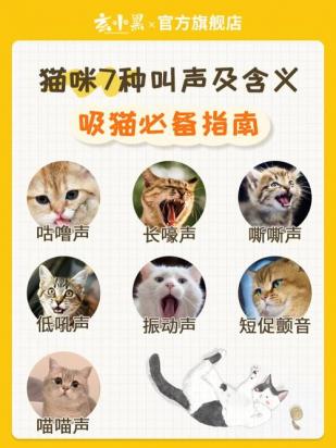猫发出咕噜咕噜的声音是为什么-图1
