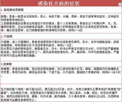 犬瘟的潜伏期有多久啊-图1