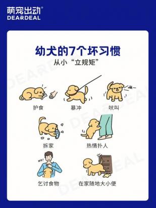 怎么纠正狗狗严重挑食-图1