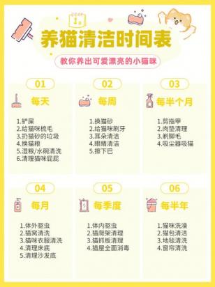 家猫多久洗一次澡-图1