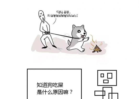 狗为什么吃屎有没有什么影响