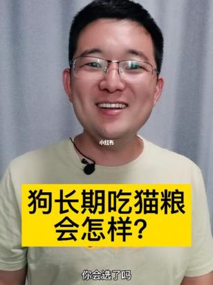 狗狗长期吃猫粮会怎么样-图1