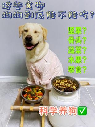 狗狗能不能吃肝脏?