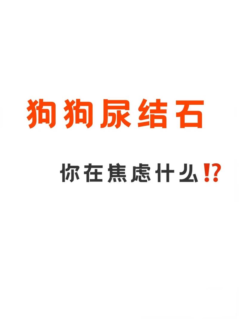 狗狗不排尿什么原因引起的-图1