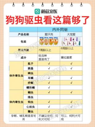 两个月大的狗狗需要驱虫吗-图1