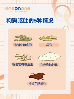狗狗拉稀呕吐不吃不喝怎么办