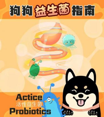 益生菌对狗狗的功效-图1