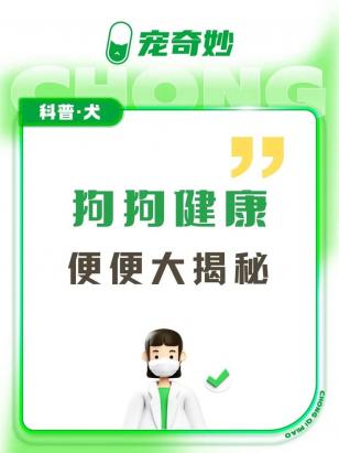 狗狗吃凉的拉肚子怎么办-图1