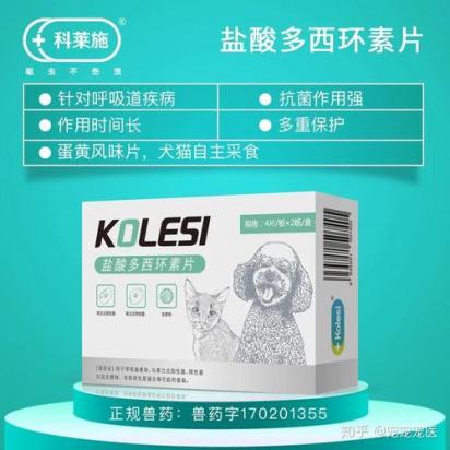 狗感冒发烧能吃人用药吗