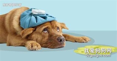狗狗会打嗝吗怎么回事