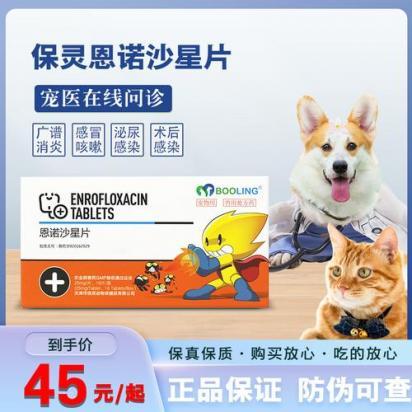 狗狗内伤吃什么药好得快-图1