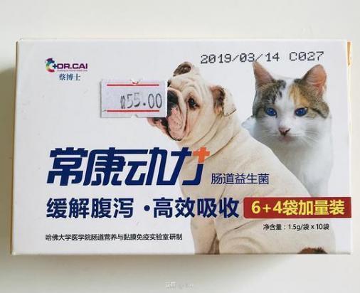狗狗用药过量多久恢复正常-图1