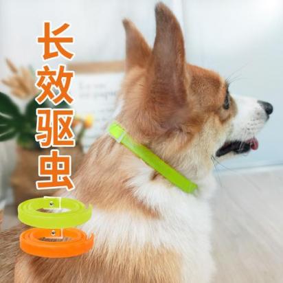 狗狗的驱虫项圈真的有用吗？-图1