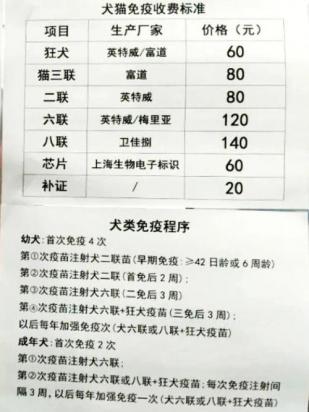 狗狗疫苗费用标准是多少-图1