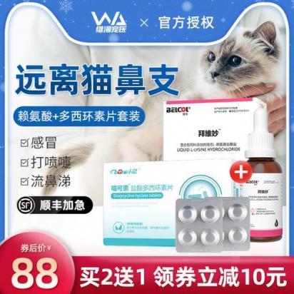 猫感冒吃什么药比较好