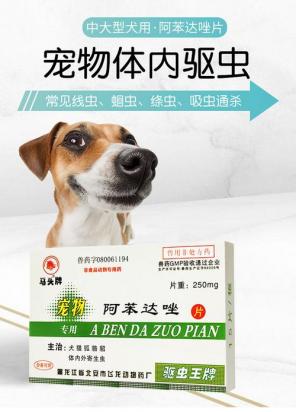 狗的驱虫药猫能吃吗-图1