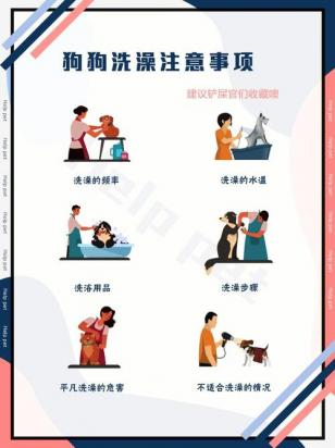 狗狗洗澡需要注意点什么需要什么东西-图1