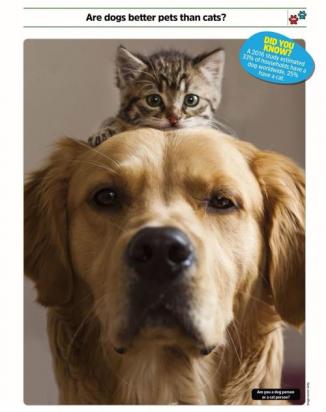 猫和狗哪个更爱主人-图1