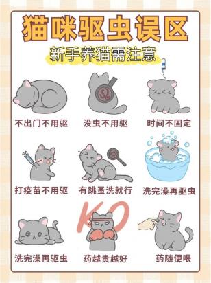 家里有猫怎么驱蚊-图1