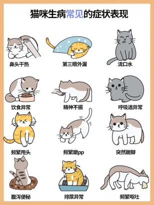 猫感冒的症状表现-图1