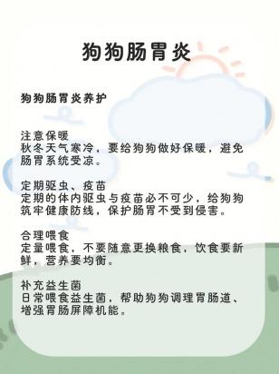 狗狗吃什么会拉肚子是怎么回事