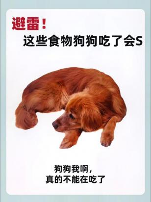狗吃多少葡萄才能中毒-图1