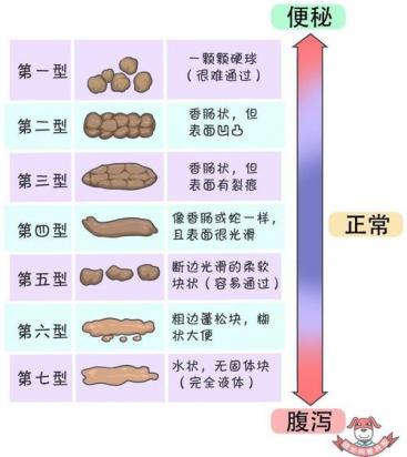 狗狗大便什么样子的属于正常-图1