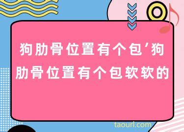 狗肋骨位置有个包按压会移动-图1