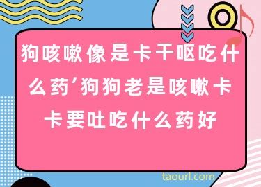 狗咳嗽像是卡干呕用什么药