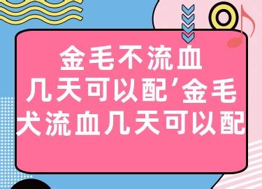 狗流血后几天可以配种啊-图1
