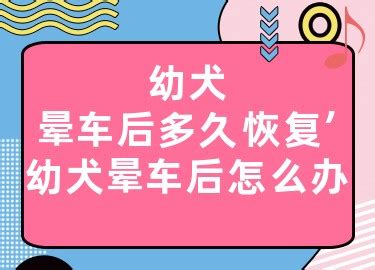 幼犬晕车后多久恢复-图1