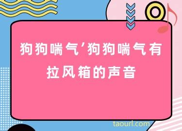 狗呼吸声音像拉风箱一样是怎么回事-图1
