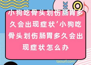 狗狗肠道划伤多久会出现症状